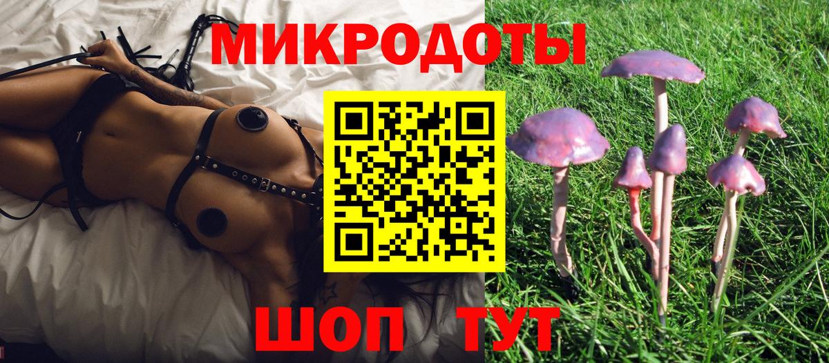 Протвино  Галлюциногенные грибы Cubensis  Вход с VPN  Галлюциногенные грибы Psilocybine cubensis 